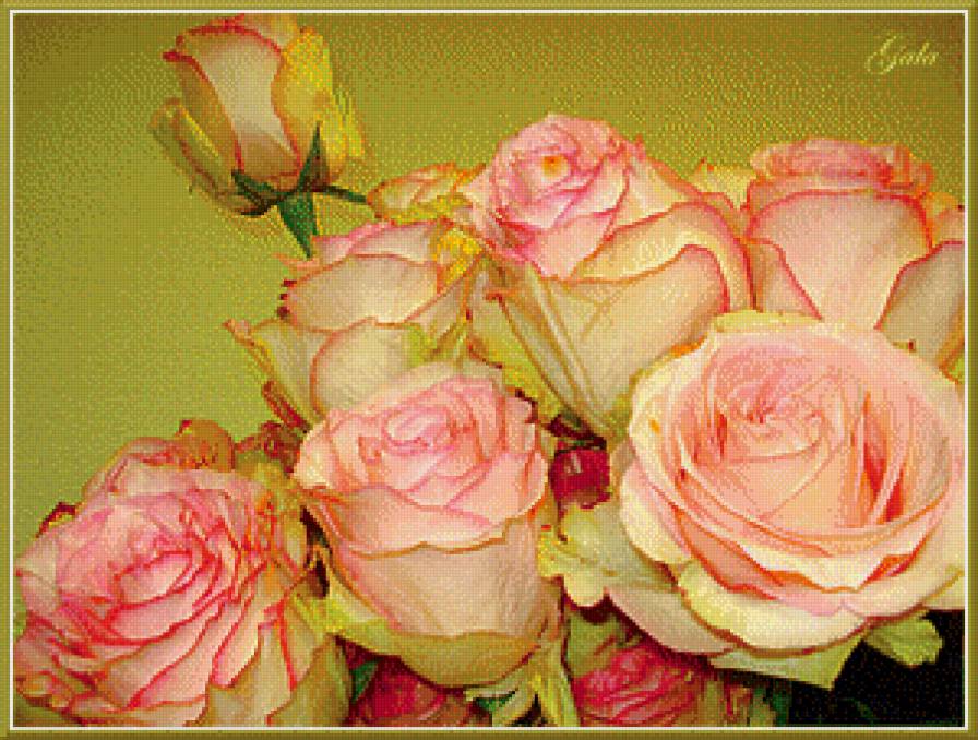 №641204 - предпросмотр