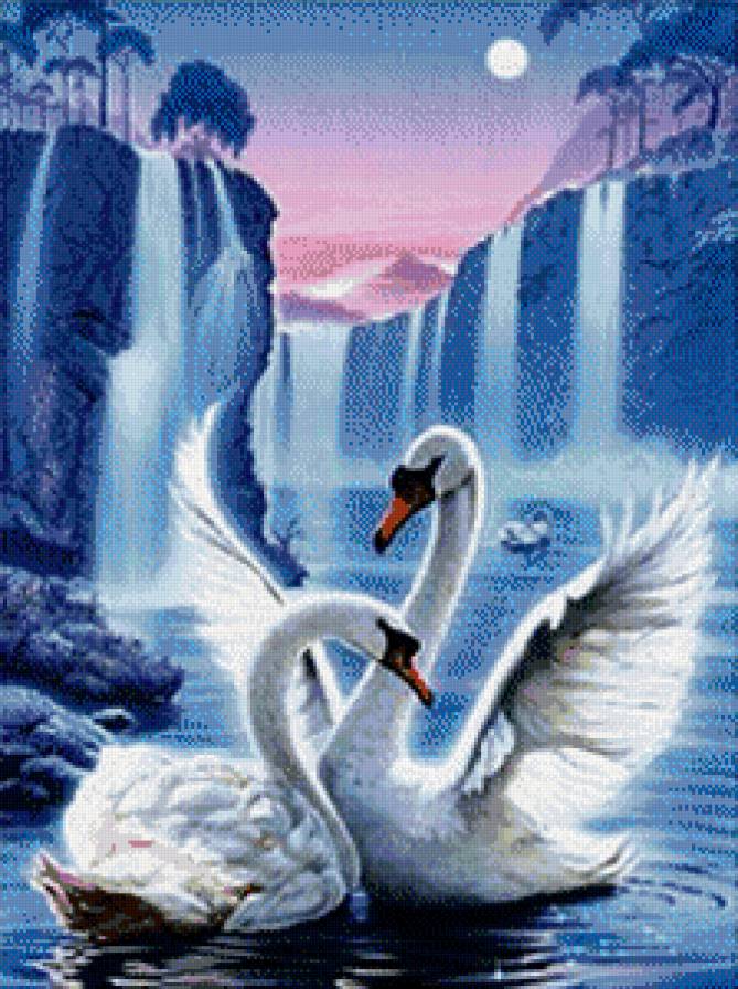 Лебеди - река, пара, горы, лебеди, закат, озеро, водопад, птицы - предпросмотр