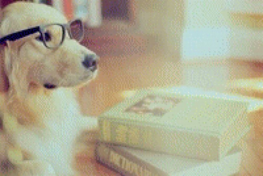 Пес - предпросмотр