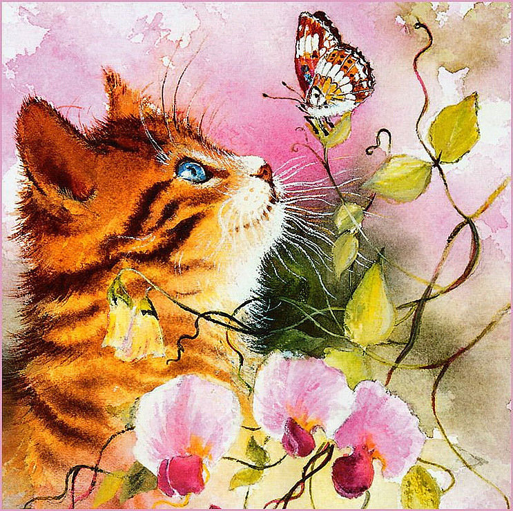 Cat - коты - оригинал