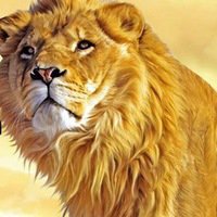 №641638 - оригинал