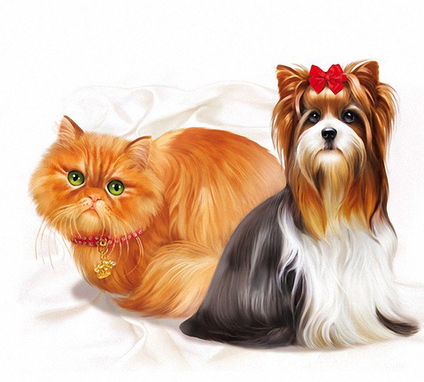 кот и собака - кошки, собаки, животные - оригинал