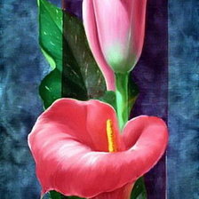 Схема вышивки «прекрасные цветы»