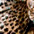 Предпросмотр схемы вышивки «Леопарды» (№641719)