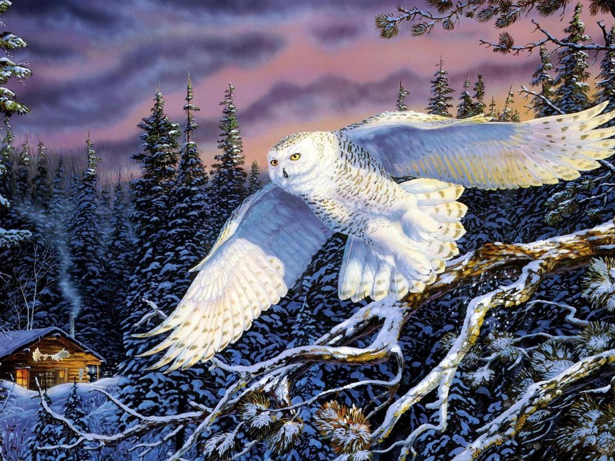 №641833 - зима, лес, пейзаж, птицы, сова, картина - оригинал