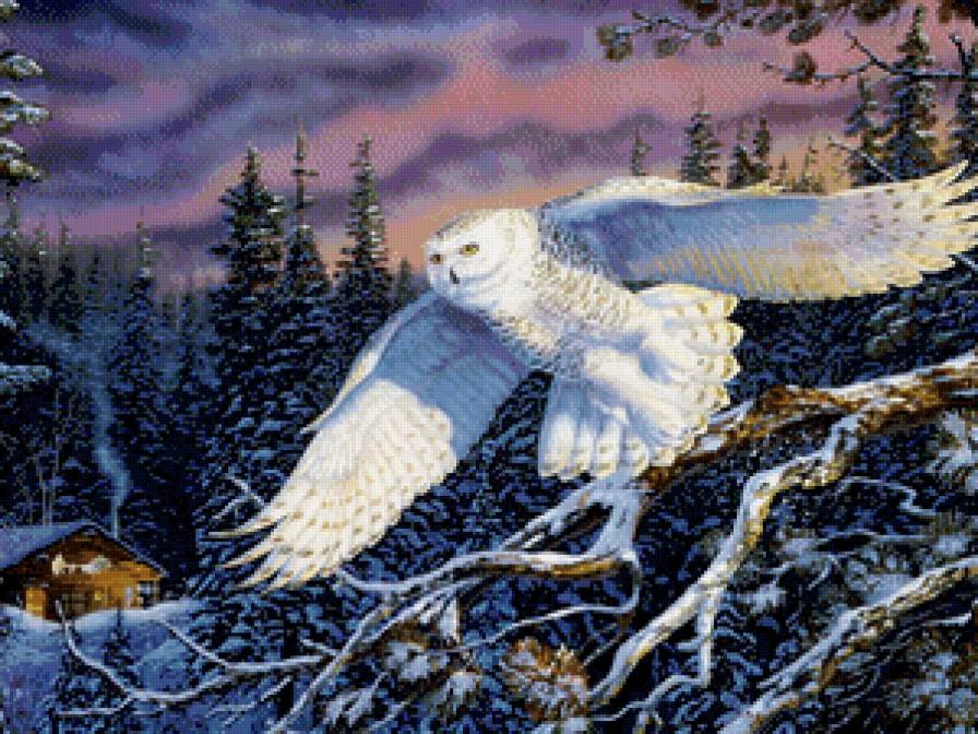 №641833 - птицы, лес, сова, зима, картина, пейзаж - предпросмотр