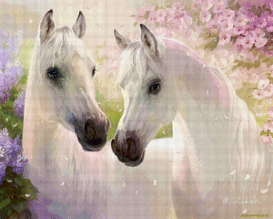 Белые лошади - лошади, животные, природа - предпросмотр
