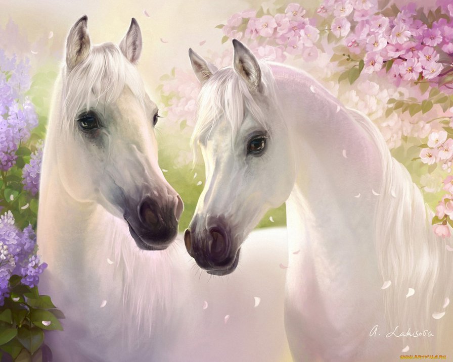 Белые лошади - животные, природа, лошади - оригинал
