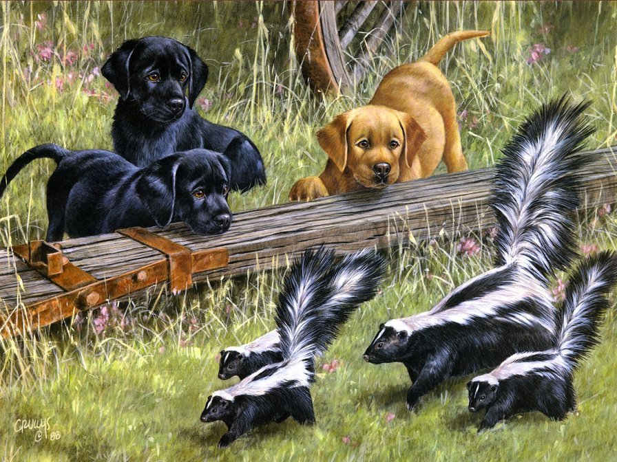 №642089 - щенки, собака, природа, животные, лес, игра - оригинал