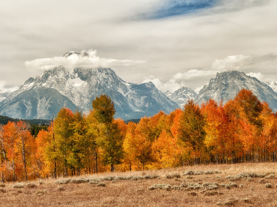 №642096 - лес, горы, осень, пейзаж, деревья, природа - оригинал