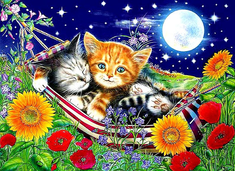 Котята в гамаке - животные - оригинал