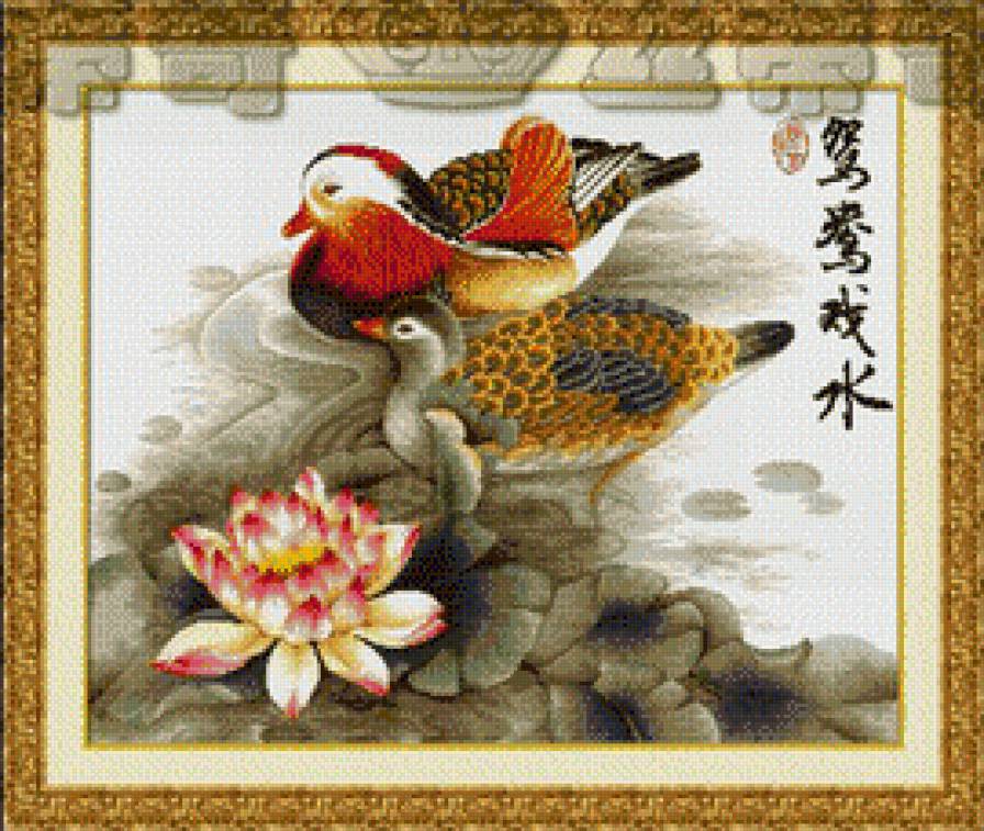 утки - предпросмотр