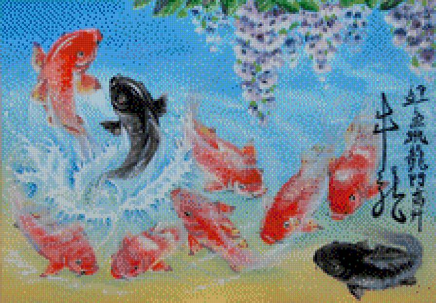 карпи - предпросмотр