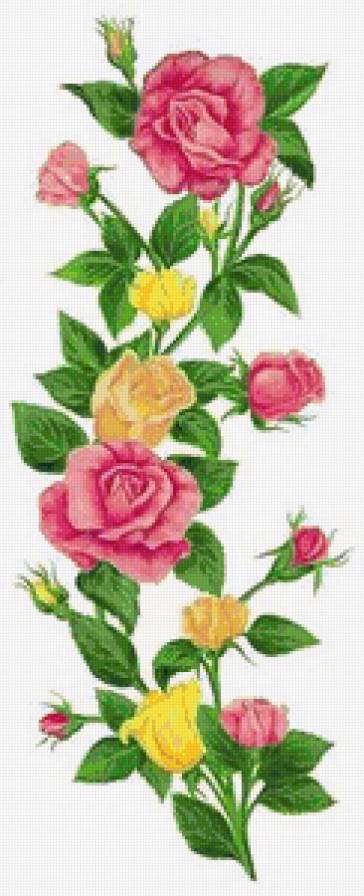 розы - картина цветы - предпросмотр