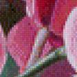 Предпросмотр схемы вышивки «Орхидеи» (№642992)