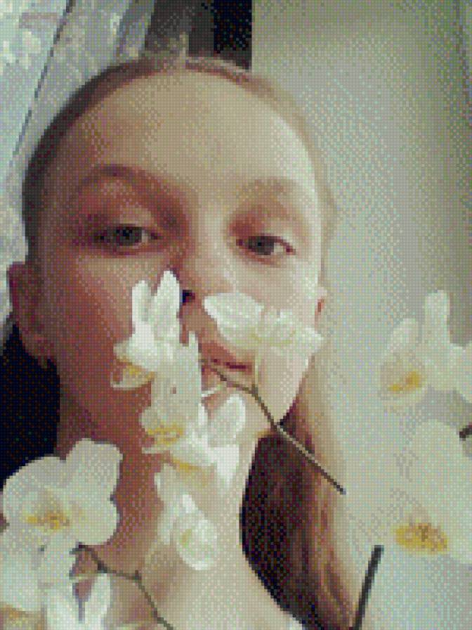 мм - предпросмотр