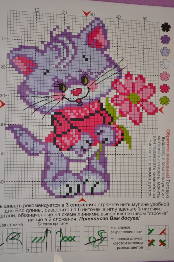 Котик - оригинал