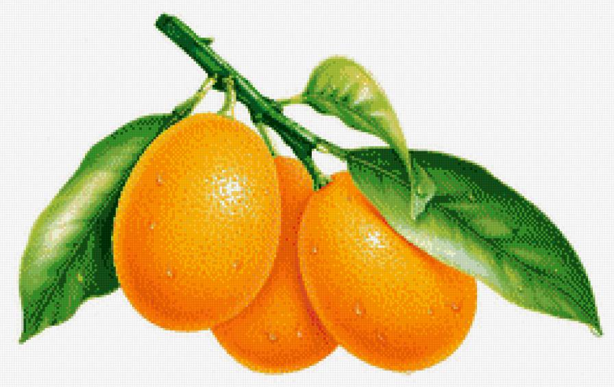 Лимон - фрукты - предпросмотр