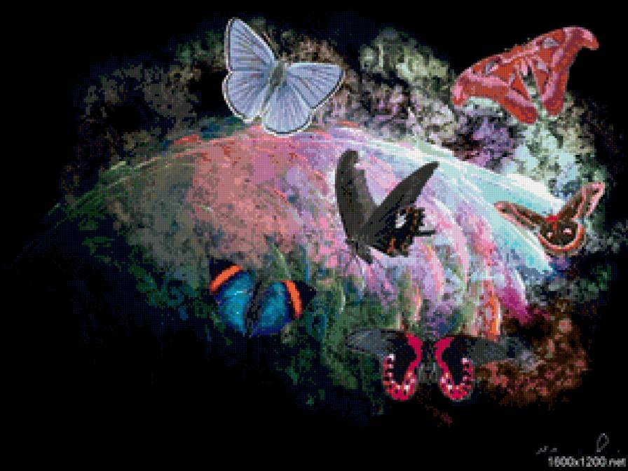 №643426 - предпросмотр