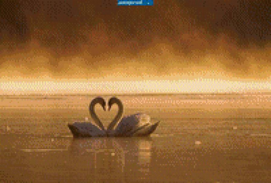 Огонь любви - птицы, вода... - предпросмотр