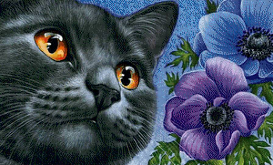 Кошка - животные, кошки - предпросмотр