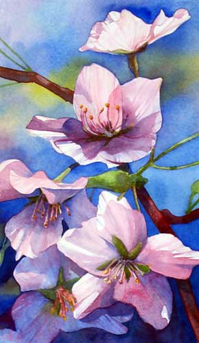 Цветущая ветвь - цветы, сакура - оригинал