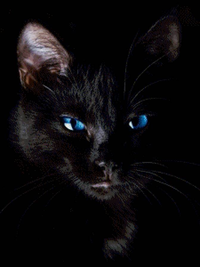 Чёрный кот. - черный, кошки - предпросмотр