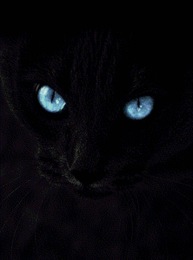 Чёрный кот-4 - кошки, черный - предпросмотр