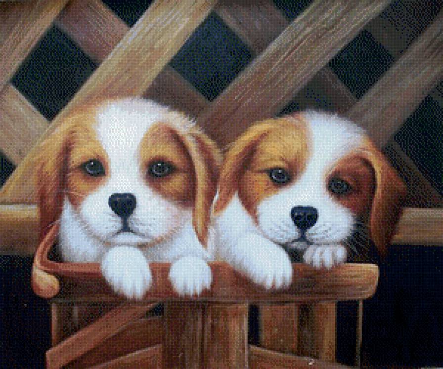 малыши - предпросмотр