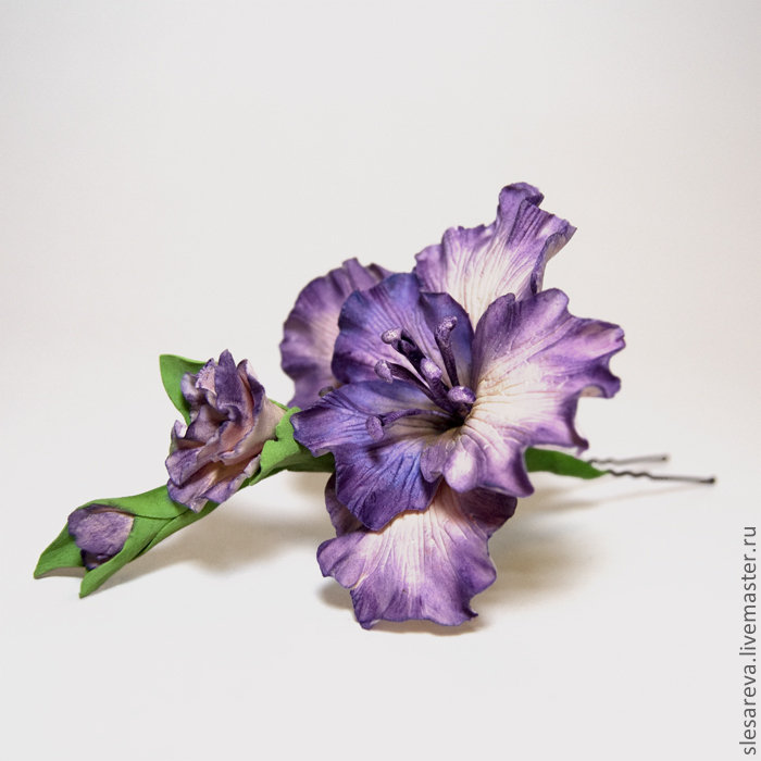 гладиолус - гладиолус - оригинал