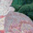 Предпросмотр схемы вышивки «№644277»