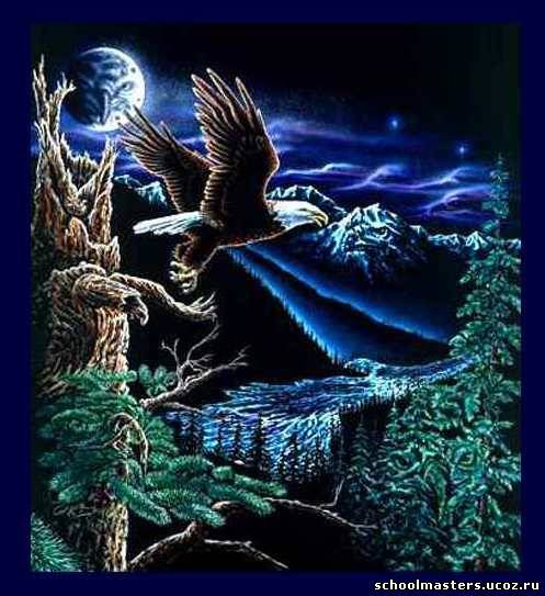 ночной полет орла - картина - оригинал