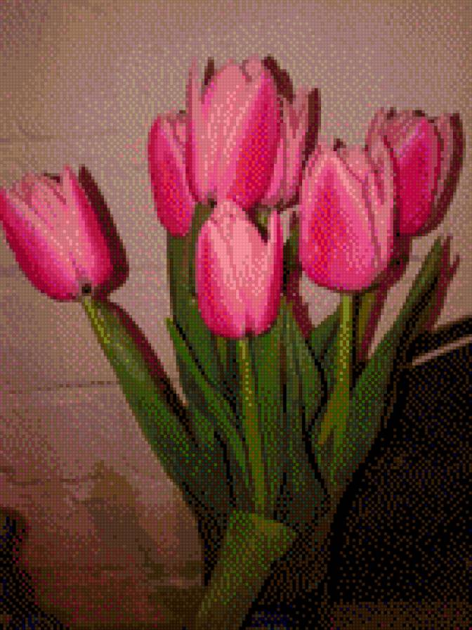 tulipany - tulipanes - предпросмотр