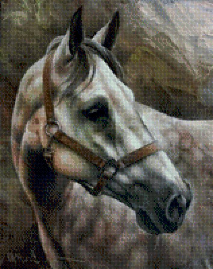 Артур Брагинский - лошадь, природа, животные, конь - предпросмотр
