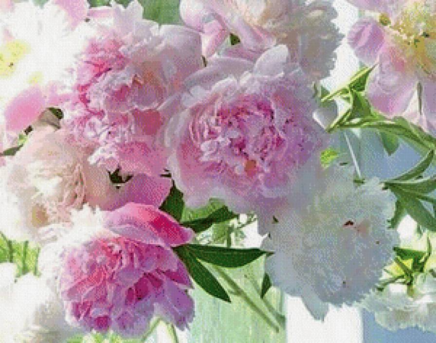 №644598 - предпросмотр