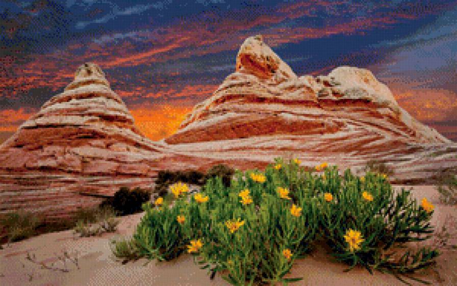 №644635 - песок, пейзаж, горы, цветы, пустыня, природа - предпросмотр