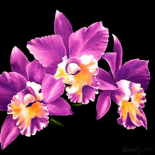 Схема вышивки «цветы»