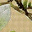 Предпросмотр схемы вышивки «магнолия» (№644748)