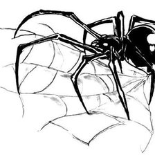 Паук для вышивки бисером