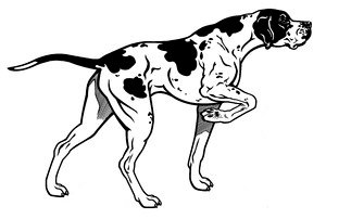 Пойнтер охотник - пойнтер, собака, хобби, охота - оригинал