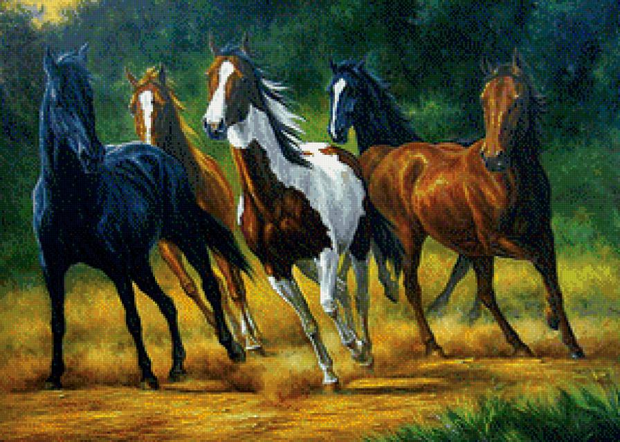 кони - предпросмотр