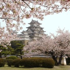 Схема вышивки «япония»