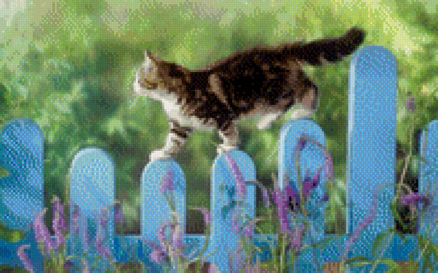 Кошка на заборе - кошки. животные. природа. - предпросмотр