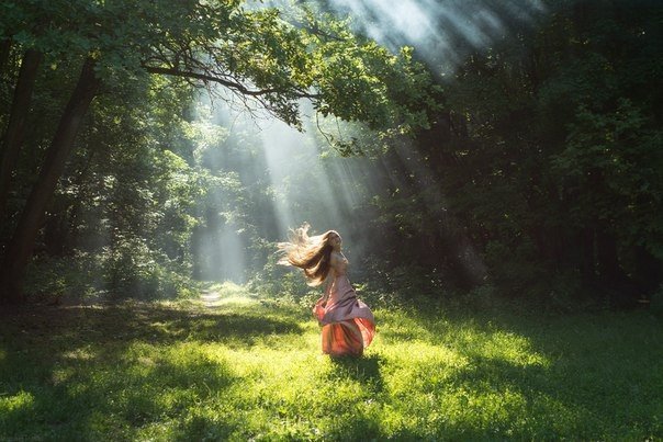 Летний день - лето. лес. природа. люди - оригинал