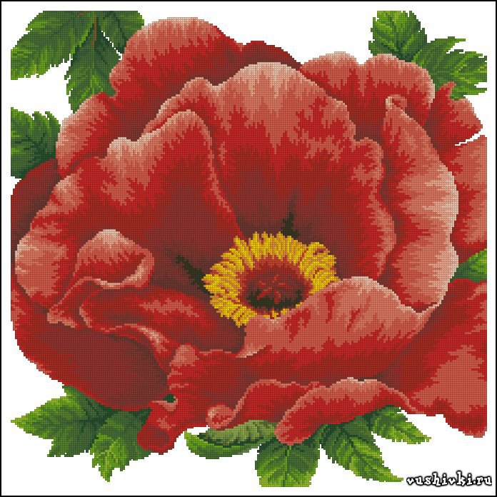 мак - оригинал