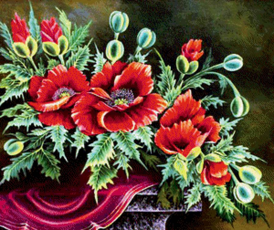 Маки - мак, букет, цветы, цветок - предпросмотр