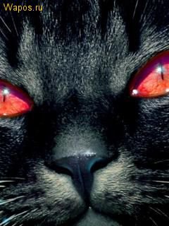 №645200 - оригинал