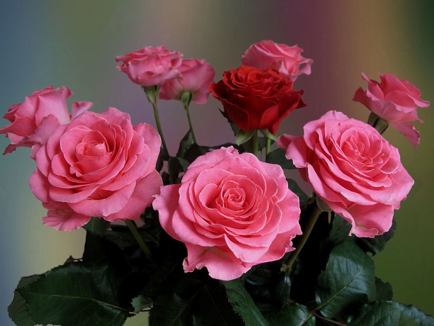 №645216 - оригинал