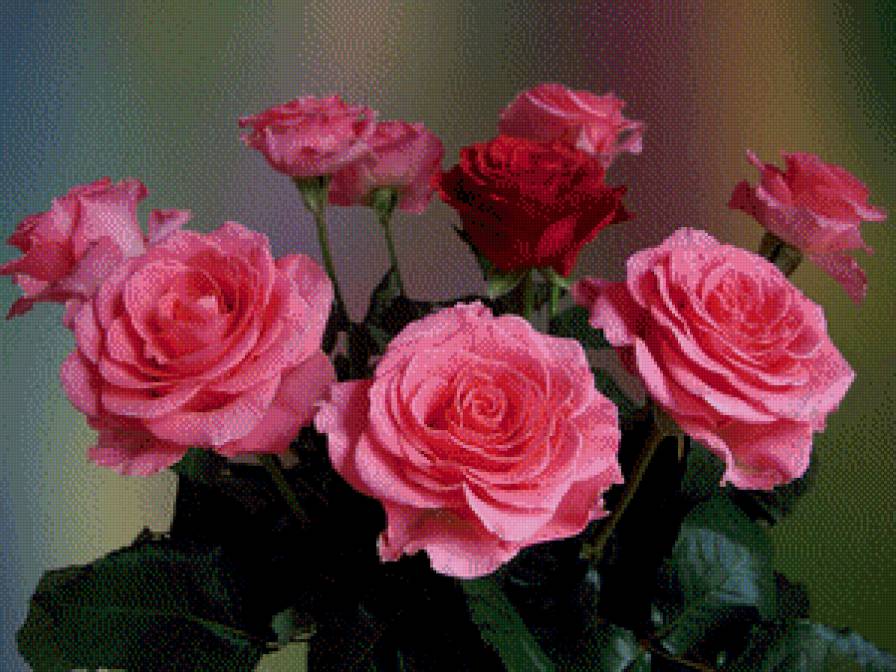 №645216 - предпросмотр