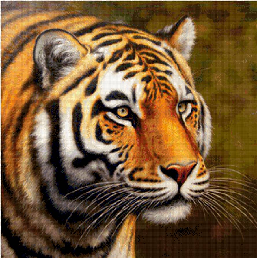 тигр - картина - предпросмотр